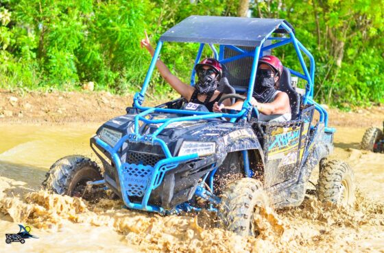 Mud, Beach, and Adventure: Discover Rancho Mar y Lodo by Buggy