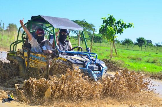From Ranch to Beach: A Buggy Tour for Everyone