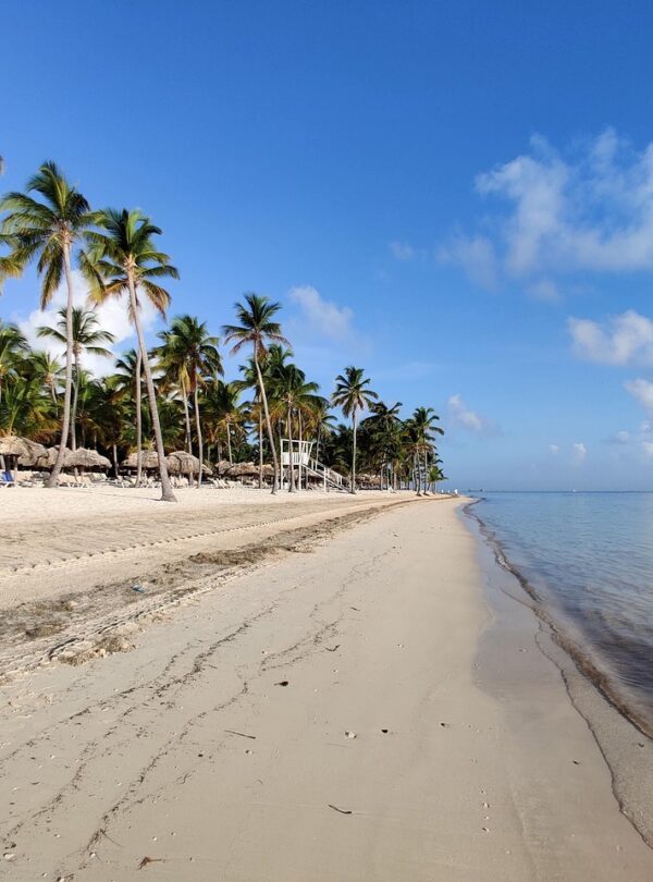 Off-road buggy ride through rugged terrain with views of Macao Beach in Punta Cana
